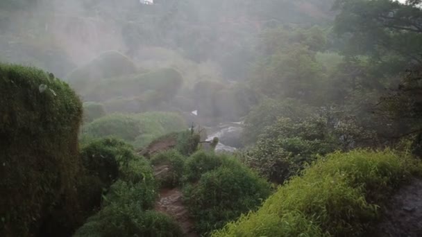 Cascata in Vietnam, Cascate dell'elefante Dalat — Video Stock