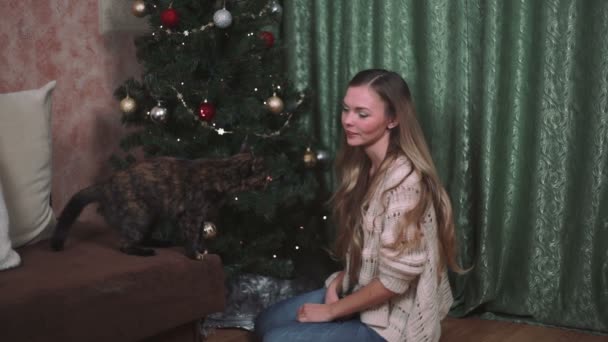 Donna sta accarezzando un gatto Natale FHD — Video Stock