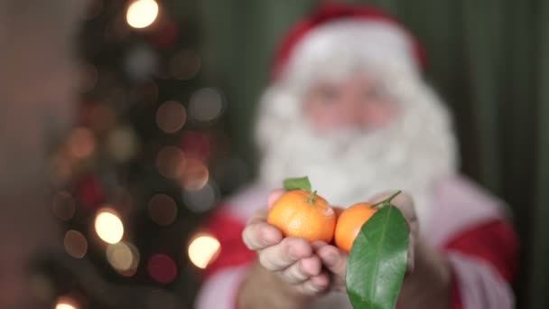 Closeup πορτρέτο του Αϊ-Βασίλη, μανταρίνι στο χέρι το νέο έτος, Χριστούγεννα — Αρχείο Βίντεο