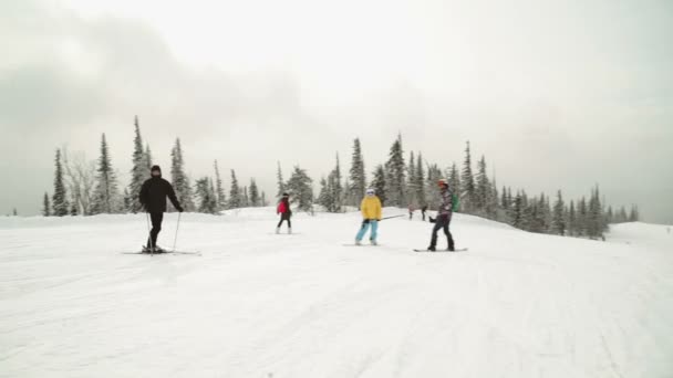Junge Snowboarderin reitet frischen Pulverschnee in schönen schneebedeckten Bergen im sonnigen Winter. Perfekter Pulverschnee abseits der Piste im Skigebiet. — Stockvideo