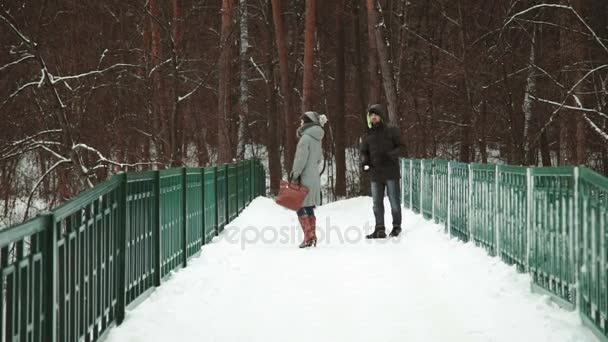 Jovem casal adulto caminhando em um dia nevado na floresta — Vídeo de Stock