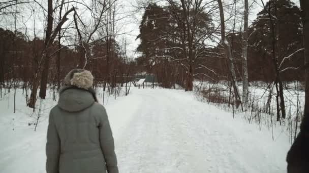 Jonge mooie model poseren over winter woud. Stijlvolle mode portret. houten pad — Stockvideo