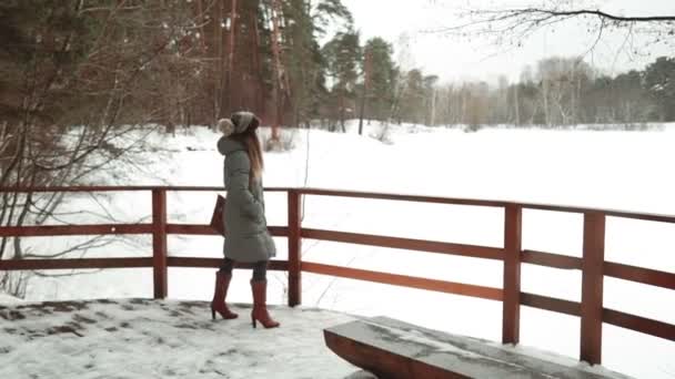Jonge mooie model poseren over winter woud. Stijlvolle mode portret. houten pad — Stockvideo