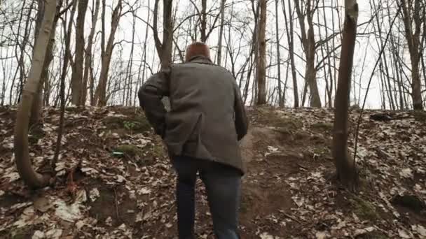 Een jonge man met een baard, met een grijze vacht wandelingen door het park in de lente of de herfst bladeren van de bomen gele, naast een verlaten Duitse fort, bakstenen muren, een oude ijzeren hek — Stockvideo