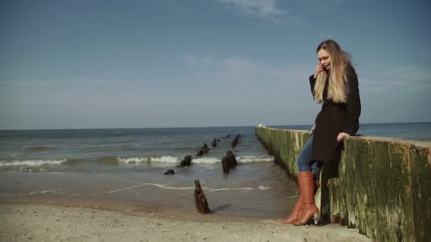 Una mujer De pie y caminando sobre rompeolas de madera cerca del mar al atardecer. Gaviotas volando y nadando en el mar . — Vídeos de Stock