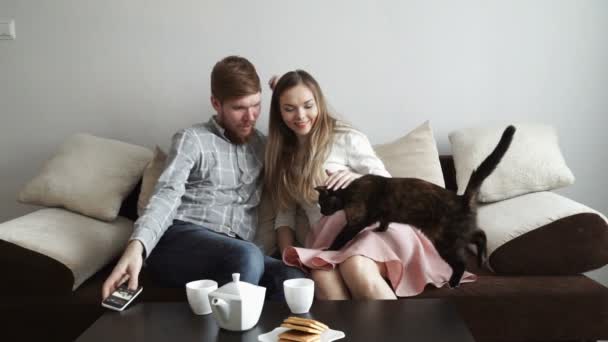 Couple is sitting on the couch sofa at home stroking a cat, Drink tea from a white tea set and watching tv. — Stock Video