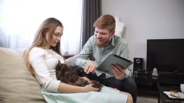 Casal está sentado no sofá sofá em casa acariciando um gato, e Olhe para o tablet e sorria, close-up — Vídeo de Stock