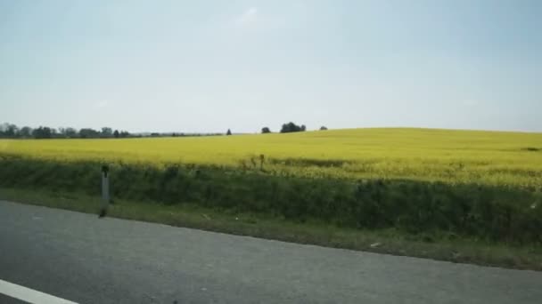 Antenn skott av grå bil som kör på vägen bredvid fältet av gula blommor och jordbruksmark — Stockvideo