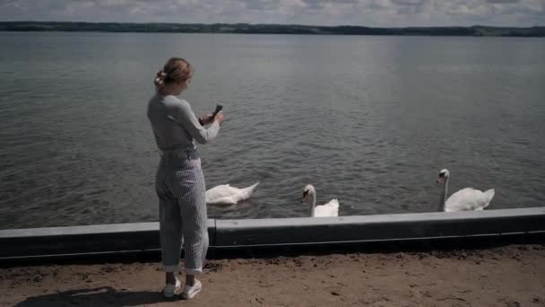 Fiatal nő vesz telefon hattyúk a tavon nyáron — Stock videók