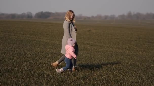 Madre joven con un niño caminar a mano desde lejos a través del campo — Vídeos de Stock