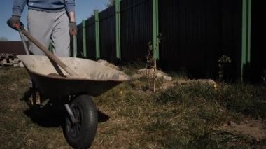 Genç bir adam içinde toprak olan bir bahçe arabası taşıyor ve kürek çukuru kazıyor.