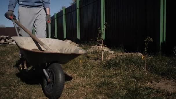 Ein junger Mann trägt einen Gartenkarren mit Erde und gräbt eine Schaufelgrube aus — Stockvideo