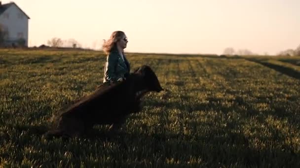 Jonge vrouw in een lange zwarte jurk en lederen jas loopt rond in het veld — Stockvideo