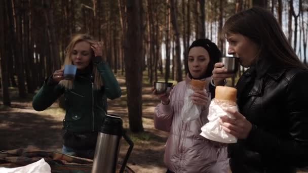 Kolme nuorta naista juomassa teetä piknikillä metsässä. — kuvapankkivideo