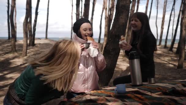 Tři mladé ženy pijí čaj na pikniku v lese — Stock video
