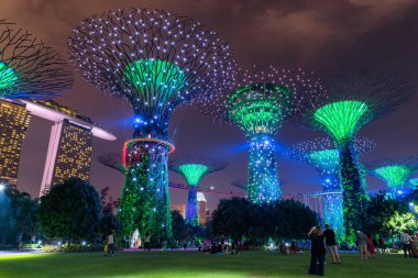 Singapur - 23 Ekim 2016: Renkli Singa şehrinde aydınlatma Fuarı