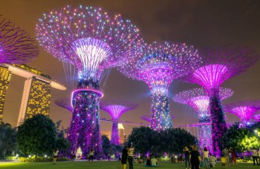 Singapur - 24 Ekim 2016: Işık gösterisini renkli çiçek açan 