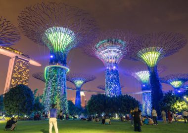 Singapur - 24 Ekim 2016: Işık gösterisini renkli çiçek açan