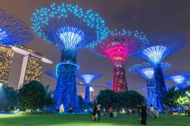 Singapur - 24 Ekim 2016: Işık gösterisini renkli çiçek açan 