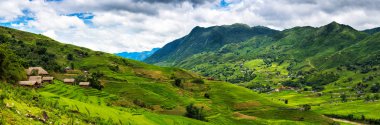 Pirinç Teras Sapa, Vietnam, pirinç tarlaları Panoraması