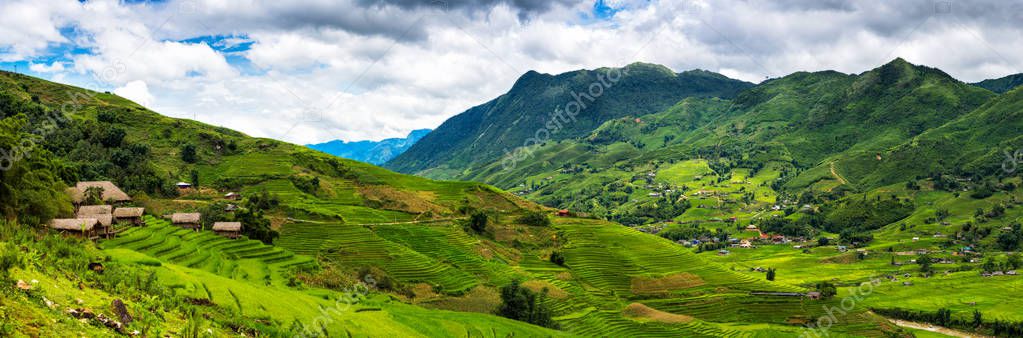 Panorama of rice terrace in Sapa, Vietnam, Rice fields