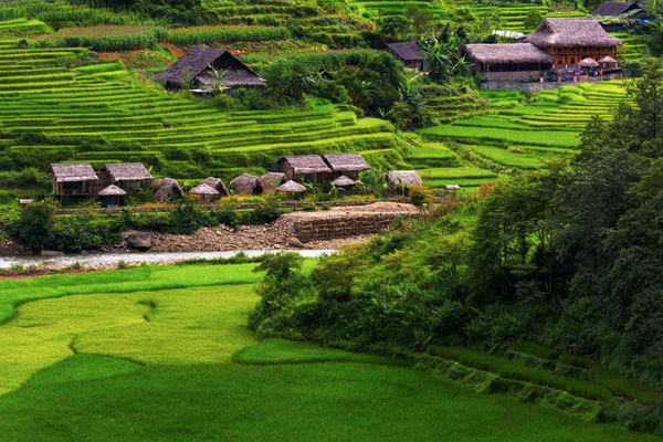 Bela cena de campos de arroz e terraço à luz do dia — Fotografia de Stock