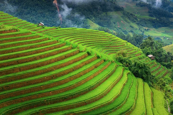 Paysage de champs et terrasse de riz à Sapa, Vietnam — Photo