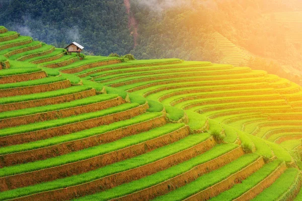 Paysage de rizières et terrasse à Mu Cang Chai, Vietnam — Photo
