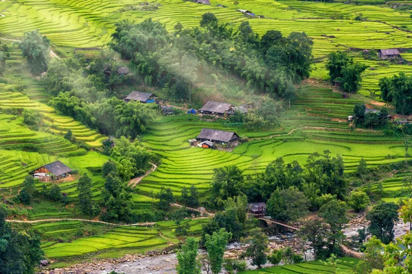 Paysage de rizières et terrasse à Mu Cang Chai, Vietnam — Photo
