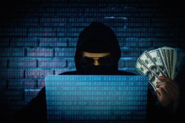 Bilgisayar korsanı bilgi gizlilik erişmek için çalışıyor 