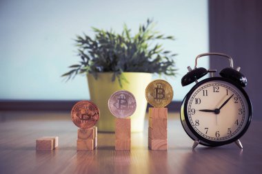 Bitcoin Menkul Kıymetler Borsası kavramı alrm saatli süre