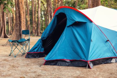Ulusal Park 'ta Kamp Yeri ve Kamp Ateşi Çadırı, Açık Hava Aktivite İzolasyonu için Kamp Alanı. Macera ve Tatil Yaşam Tarzları Kavramı