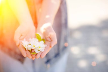 Yeşil patlamada çiçek açan kadın eli.