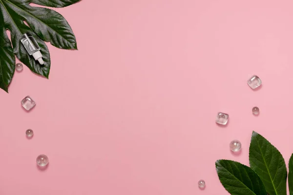 Hyaluronsyra Dropper Transparent Glasflaska Rosa Bakgrund Hudvård Och Hälsa Glasflaskor — Stockfoto