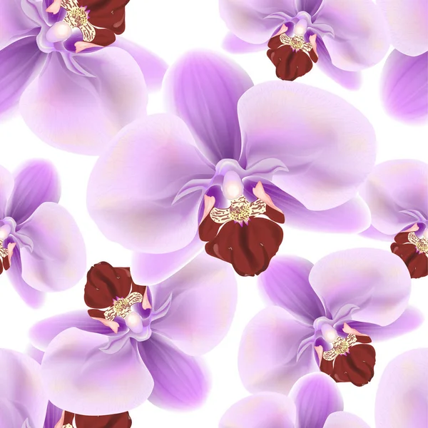 Hermoso Patrón Sin Costura Colorido Con Flores Orquídea Ilustración Vectorial — Vector de stock
