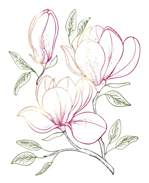 Bellissimo Sfondo Con Ramoscello Fiorito Magnolia Illustrazione Vettoriale Eps — Vettoriale Stock