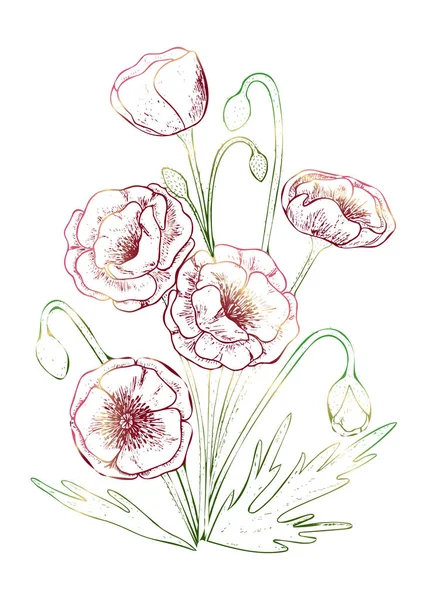 Fundo Bonito Com Flores Poppy Ilustração Vetorial Eps —  Vetores de Stock