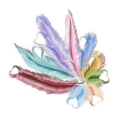 Renkli tüyleri olan güzel bir arka plan. Vektör çizimi. EPS 10