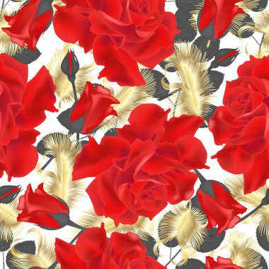 Gül ve tüylerle kusursuz bir desen. Vektör çizimi. EPS 10