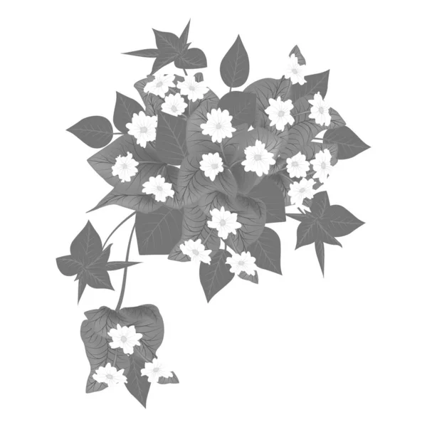 Квітка Бугенвіля Ізольована Білому Тлі Векторні Ілюстрації Епс — стоковий вектор