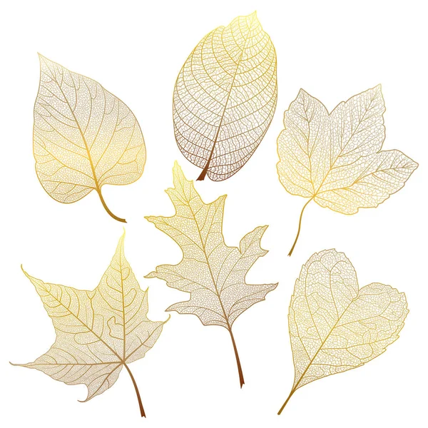 Ορίστε Χρωματιστά Φθινοπωρινά Φύλλα Λευκό Απεικόνιση Διανύσματος Κέρδος Ανά Μετ — Διανυσματικό Αρχείο