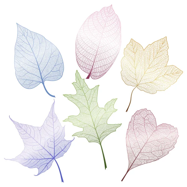 Mettre Les Feuilles Colorées Sur Blanc Illustration Vectorielle Spe — Image vectorielle