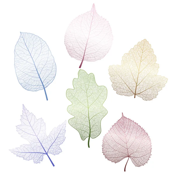 Stel Gekleurde Bladeren Wit Vector Illustratie Eps — Stockvector