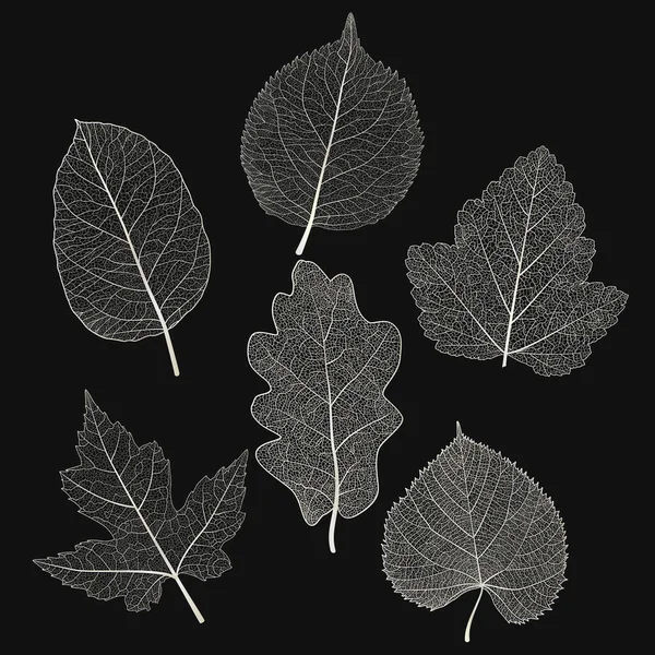 Weiße Blätter Setzen Vektorillustration Eps — Stockvektor