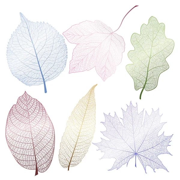 Mettre Les Feuilles Colorées Sur Blanc Illustration Vectorielle Spe — Image vectorielle