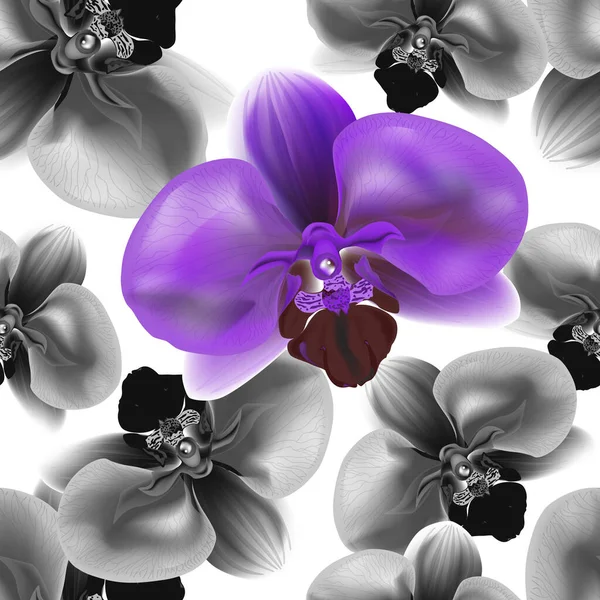 Hermoso Patrón Sin Costura Colorido Con Flores Orquídea Ilustración Vectorial — Vector de stock