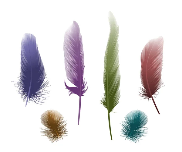 Set Plumes Colorées Illustration Vectorielle Spe — Image vectorielle