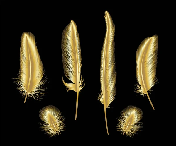 Juego Plumas Oro Ilustración Vectorial Eps — Vector de stock