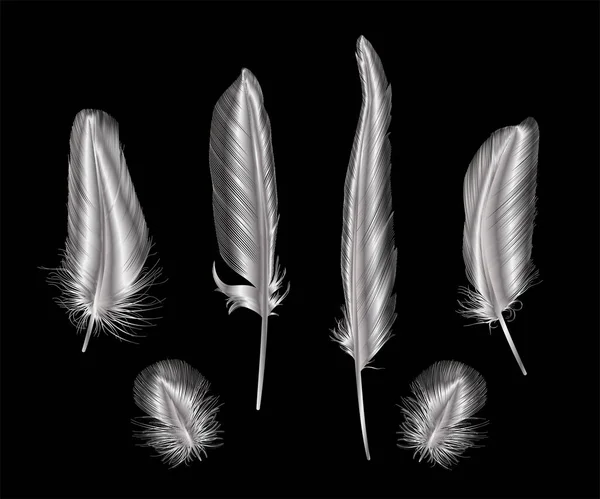 Ensemble Plumes Argent Illustration Vectorielle Spe — Image vectorielle