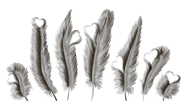 Ensemble Plumes Isolées Avec Des Coeurs Illustration Vectorielle Spe — Image vectorielle